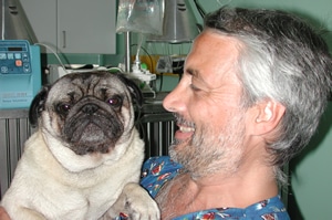 Tumori del cane: la nitrosilcobalamina non serve. Intervista audio all'oncologo Giorgio Romanelli