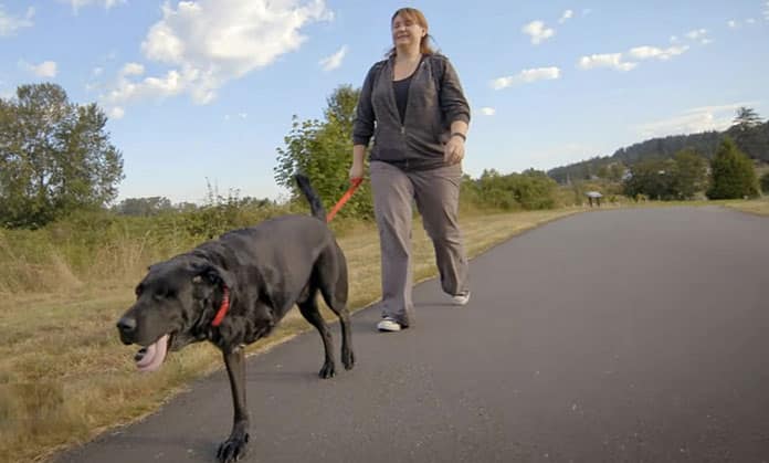 Un cane e la sua proprietaria imparano a camminare insieme dopo un brutto incidente