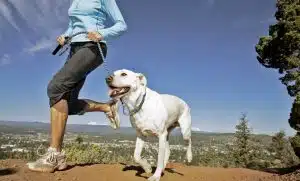 Correre con il cane: 6 consigli per iniziare