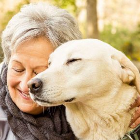 Il potere terapeutico degli animali: un libro sulla Pet Therapy