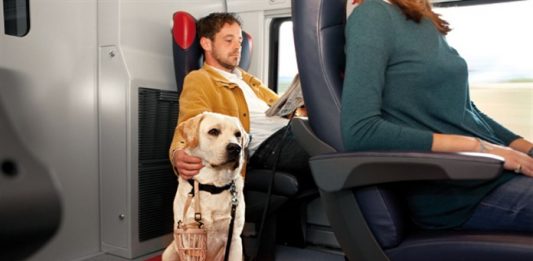 Viaggiare in treno col cane: le regole di Trenitalia