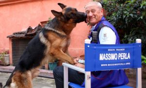 Cani attori: intervista a Massimo Perla, istruttore di Rex