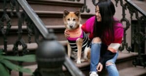 Cani: aumenta la richiesta di dogsitter a New York