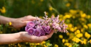 L'utilizzo dei fiori di Bach per il benessere del cane