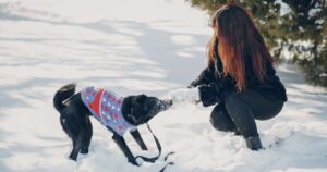 Come proteggere il cane dal freddo