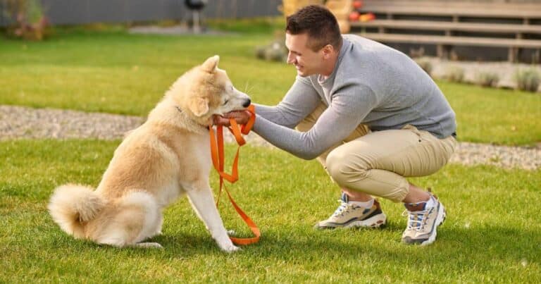 Cane: come comprendere il suo linguaggio? Tutti i suggerimenti