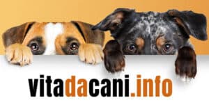 Vita Da Cani Magazine