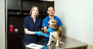Gli esami diagnostici per mantenere il tuo cane in buona salute