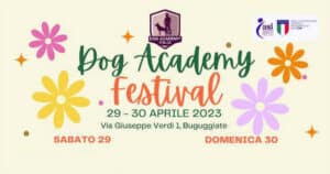 Dog Academy Festival