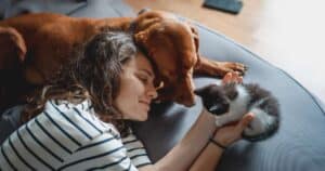 Cane e gatto in casa: come abituarli a vivere pacificamente insieme