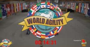 Agility Dog WAO: al via il World Agility Open Championship 2023