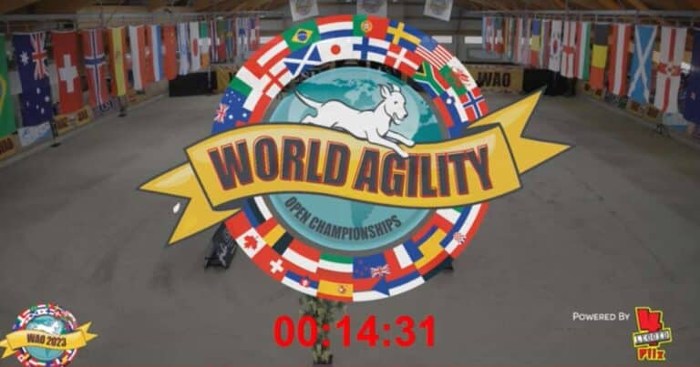 Agility Dog WAO: al via il World Agility Open Championship 2023