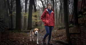 Camminare con il cane nel bosco: 7 consigli per farlo in sicurezza