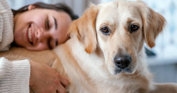 Cane: i benefici sulla nostra salute