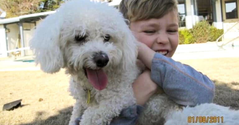 Cane torna a casa dopo 12 anni grazie al microchip