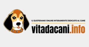 Vita da Cani rivista cane