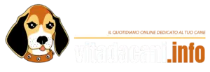 Vita da cani quotidiano online