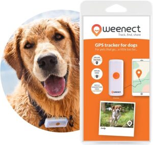 GEolocalizzatori per cani gps weenect