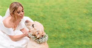 Cane al matrimonio: come vestirlo?