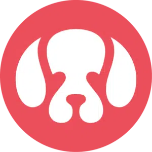 Immagine di Arianna Ceccarelli