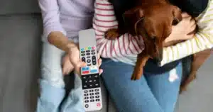 Cani che guardano la TV: hanno delle preferenze? I sorprendenti risultati di uno studio americano