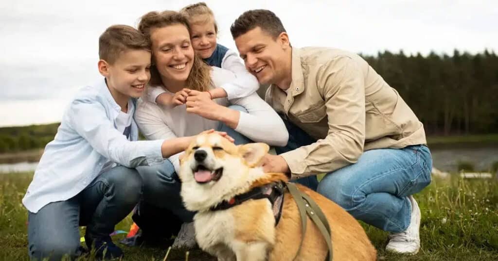 cani socializzati