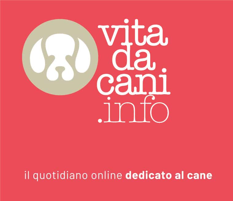 header vitadacani.info