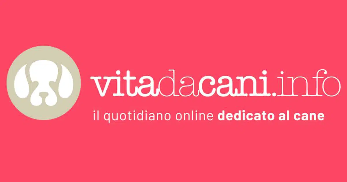 vita da cani quotidiano online header