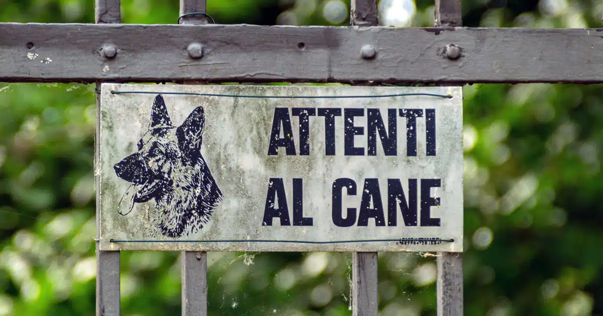 CANI CHE SFUGGONO ALLA NOSTRA CUSTODIA: NE RISPONDIAMO PENALMENTE? LA PAROLA ALL’AVVOCATO cartello attenti al cane