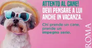 abbandoni cani