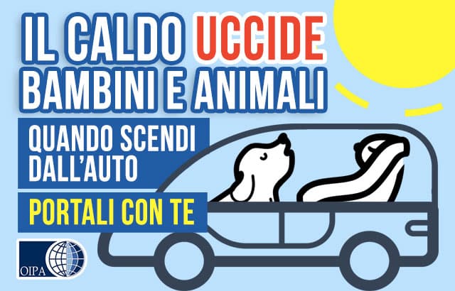 Cani in auto al caldo