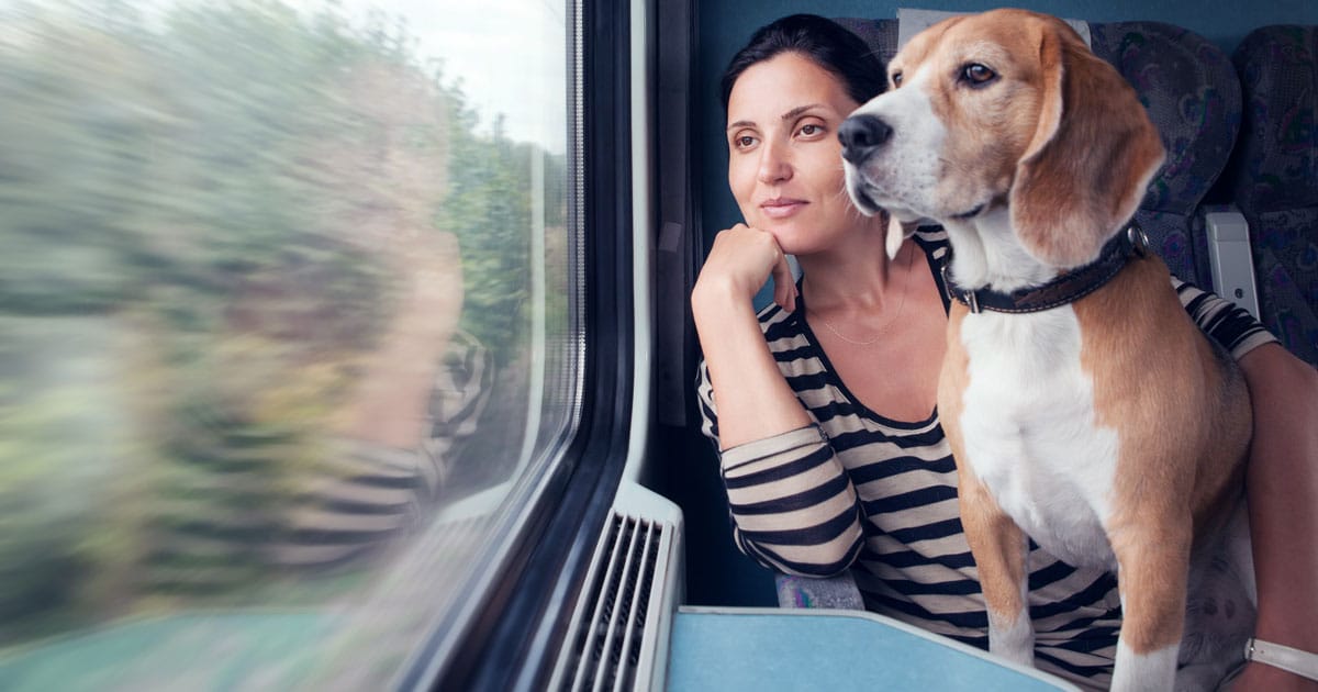 In viaggio col cane In treno