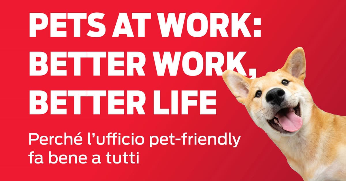 pets at work. cani sul posto di lavoro