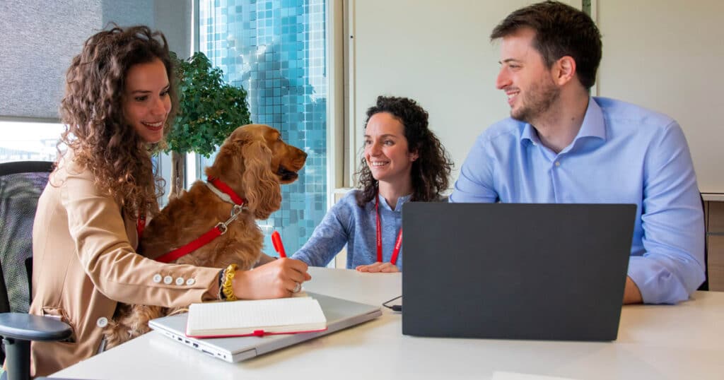 pets at work. cani sul posto di lavoro