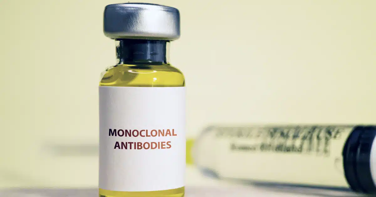 terapie monoclonali nel cane cosa sono intervista al veterinario corrado carotti