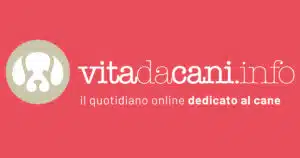 vita da cani