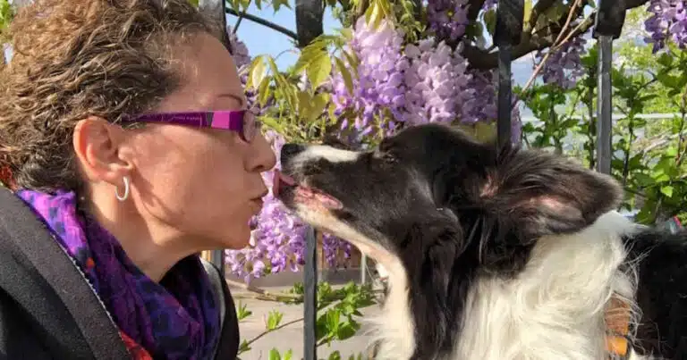 L'alimentazione influenza il comportamento del cane