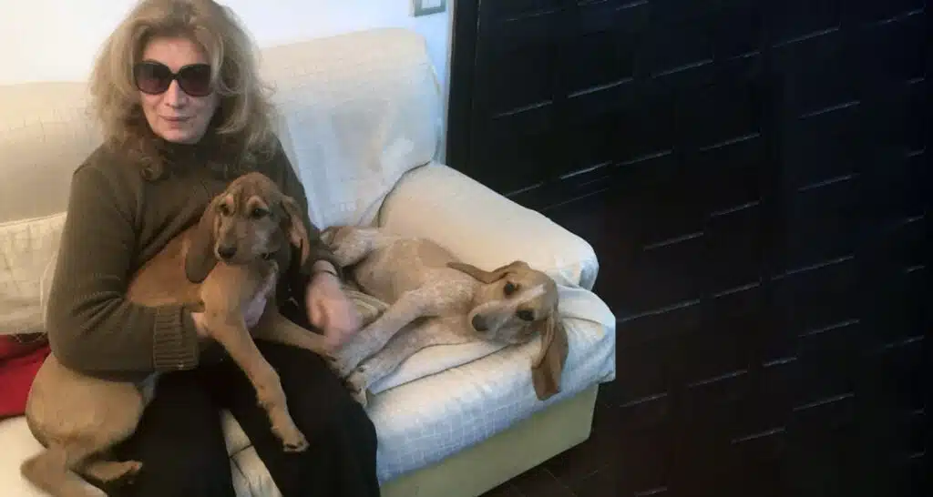 Iva Zanicchi e i suoi cani intervista esclusiva per vitadacani.info