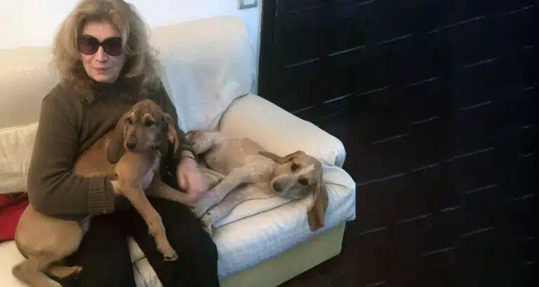 Iva Zanicchi e i suoi cani intervista esclusiva per vitadacani.info