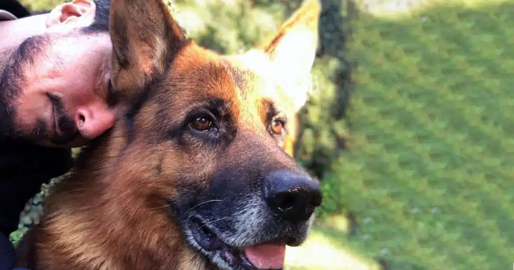 luca bizzarri addio cane smog pastore tedesco