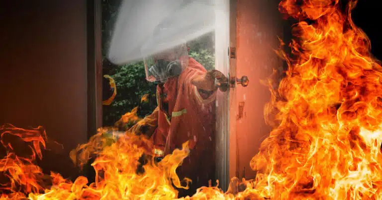 16 cani salvati da un incendio in villa