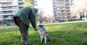argo il cane antiveleno
