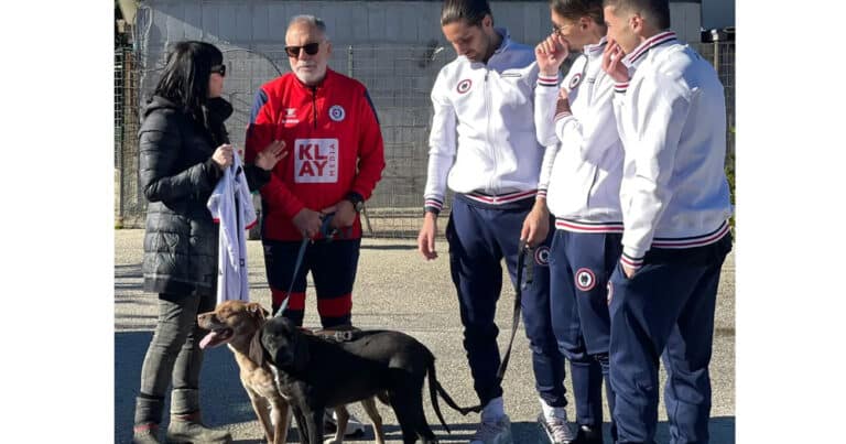 campobasso calciatori in visita al canile di santo stefano adozioni