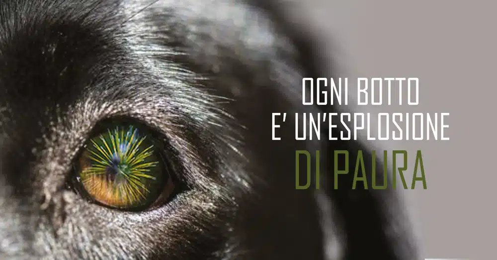 Botti di capodanno decalogo oipa