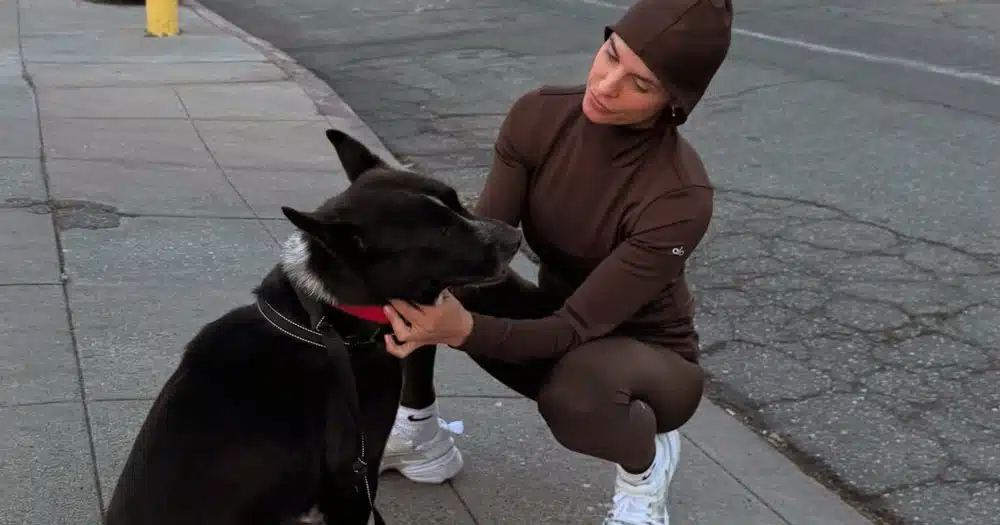 Elisabetta Canalis diventa foster mum