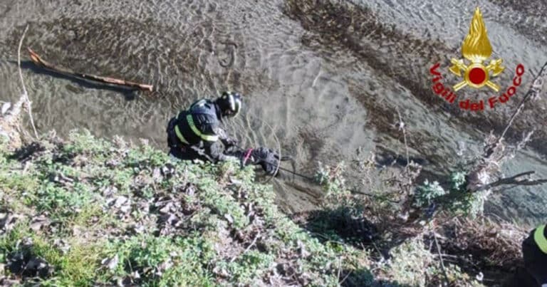 Cane salvato nel fiume Sangone a Torino