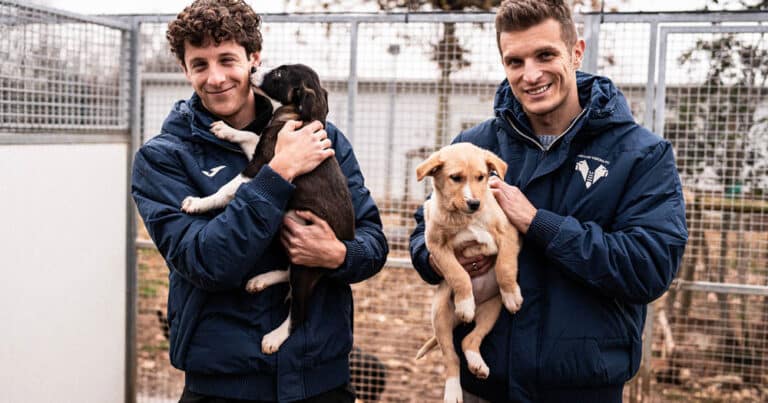 verona-milan cani da adottare entrano in campo con i calciatori