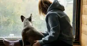 Allerta meteo: cosa fare in casa con il cane