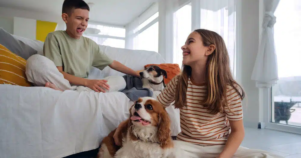 Allerta meteo: cosa fare in casa con il cane