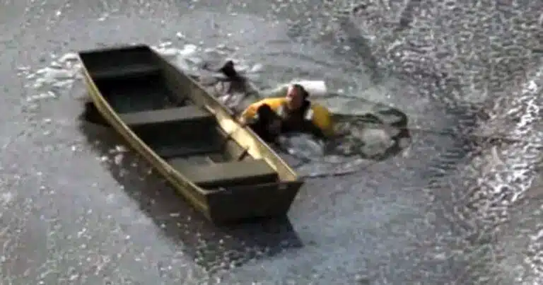 cane cade nel lago ghiacciato